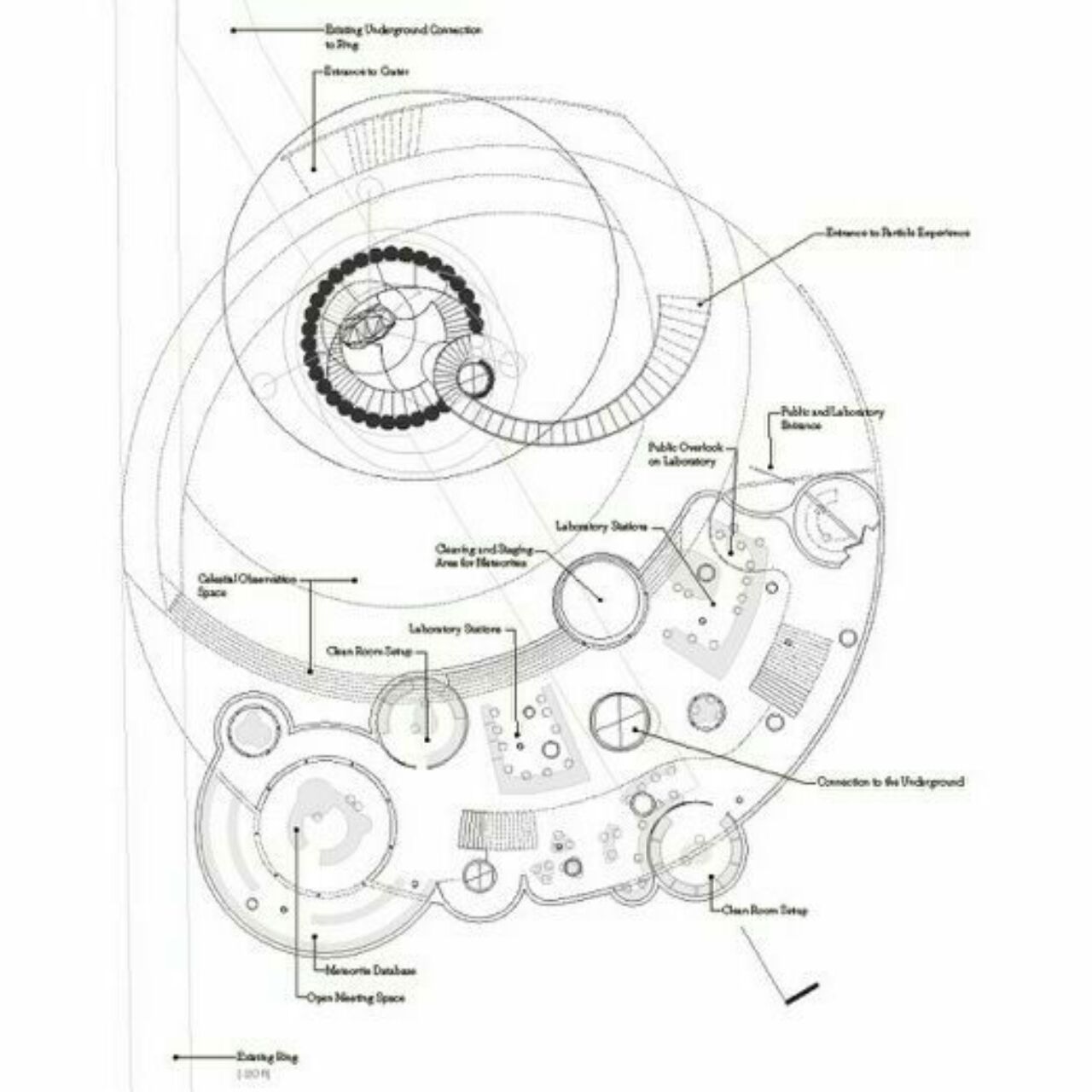 Complex, shell-shaped black and white floorplan; Arch492 student design