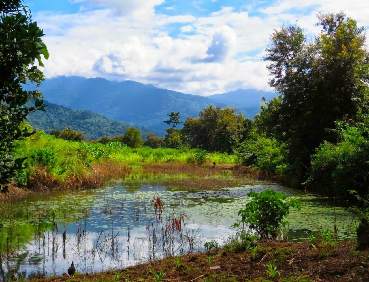 Tanzania landscape with water in foreground and mountains in the distance