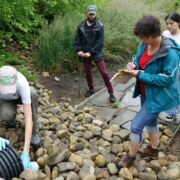 MS in Landscape Architecture students working on stormwater draining project.