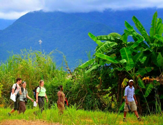 Penn State landscape architecture students in Tanzanian forest with mist-shrouded mountains in the background