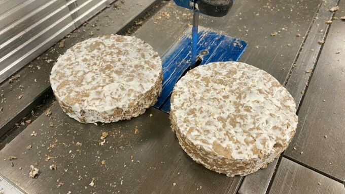 Samples of mycelium being grown on biomaterials are shown on the platform of a table saw.