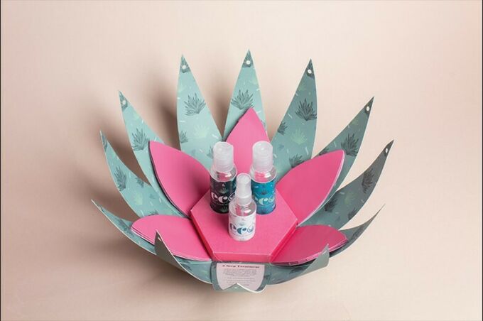 Package design for Eco that looks like a lotus flower opening to expose body care products in bottles.