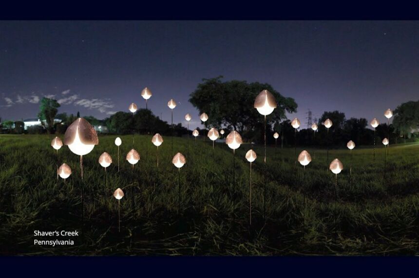 A rendering of solar lights along Shaver's Creek.