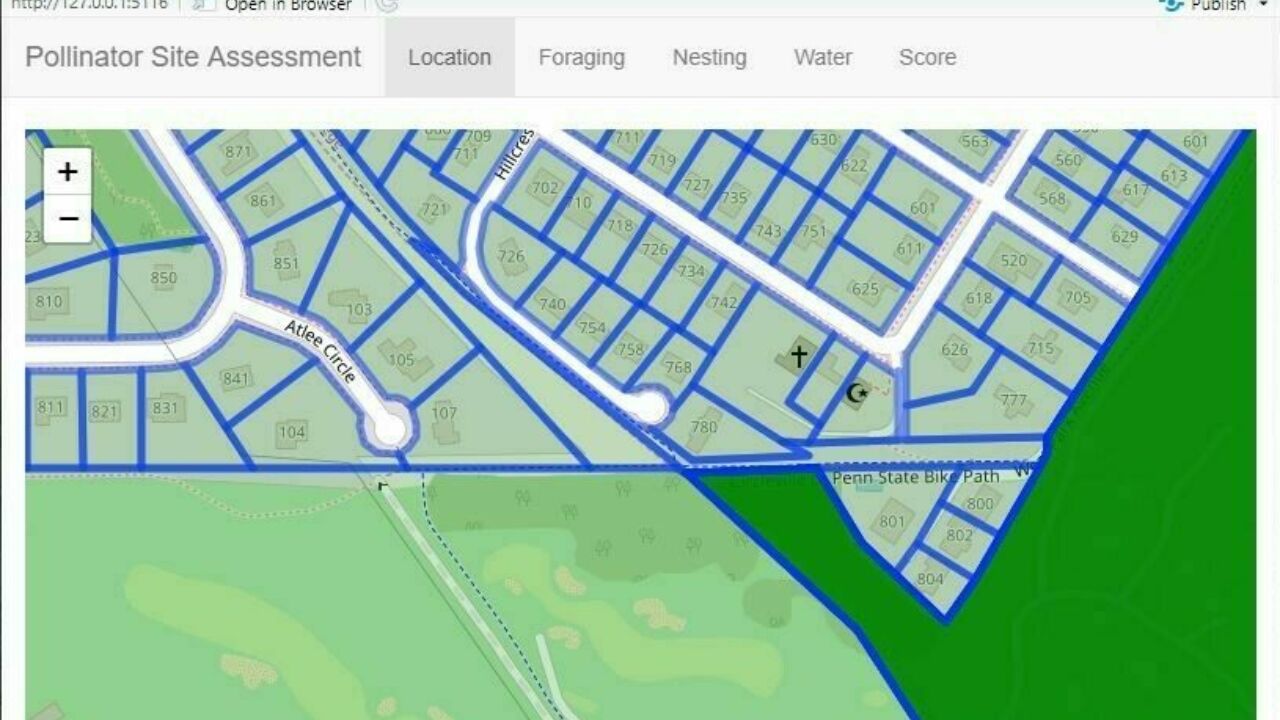 Site assessment schematic