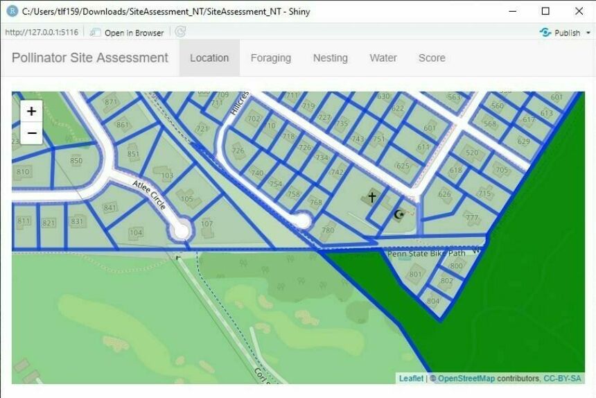 Site assessment schematic