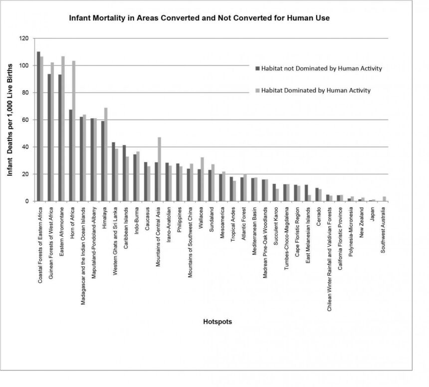 Infant Mortality Infograph